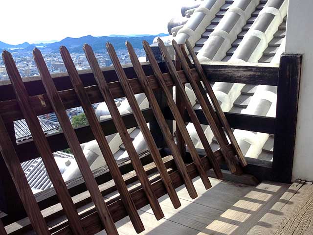 photo_R@g