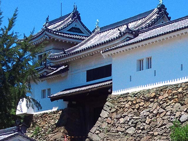 photo_a̎RmE