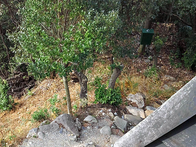 photo_b07.jpg