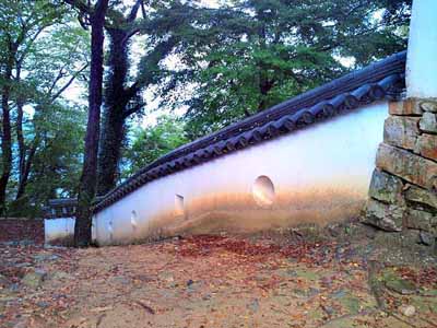 photo_bt_mt001.jpg