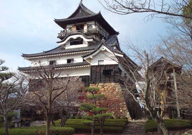 photo_osugi01.jpg