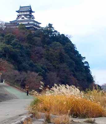 photo_yama01.jpg