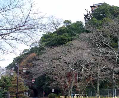photo_yama02.jpg