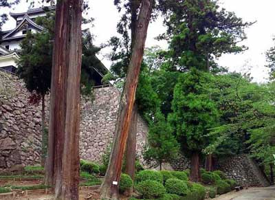 松江城